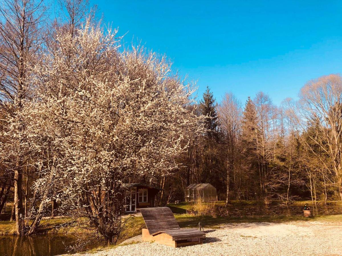 Fischerhaus Burgthann Kültér fotó